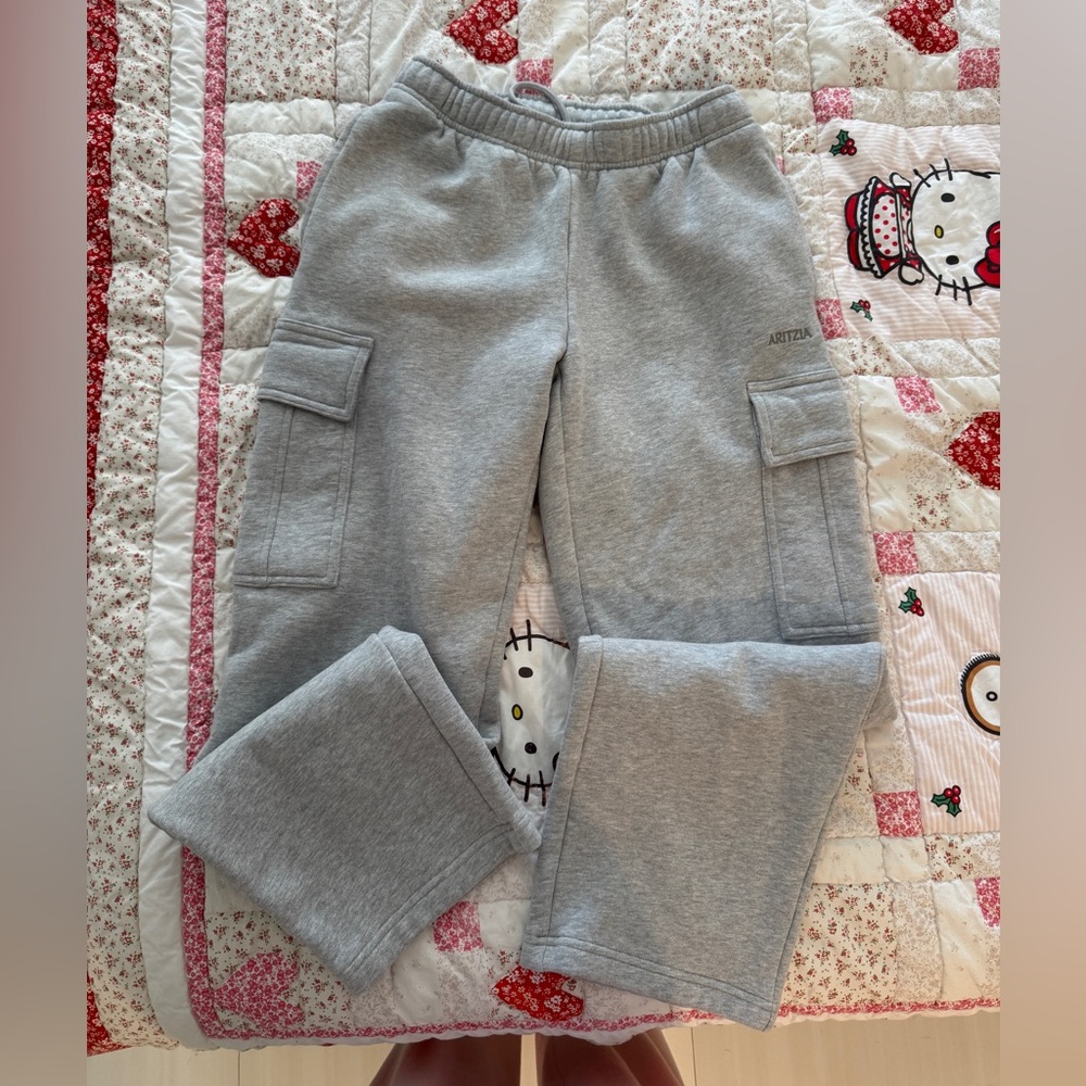 Aritzia Sweatfleece Cargo